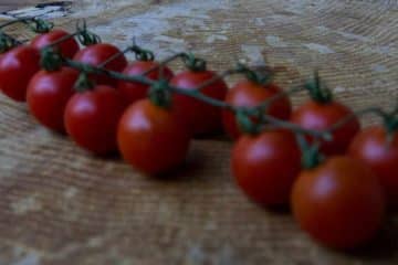 Tomaten am Stiel auf einem Holztisch.
