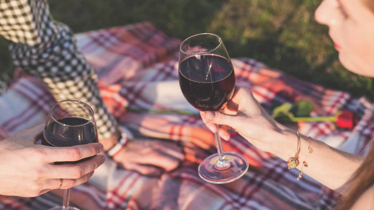 Paar trinkt Rotwein beim Picknick.